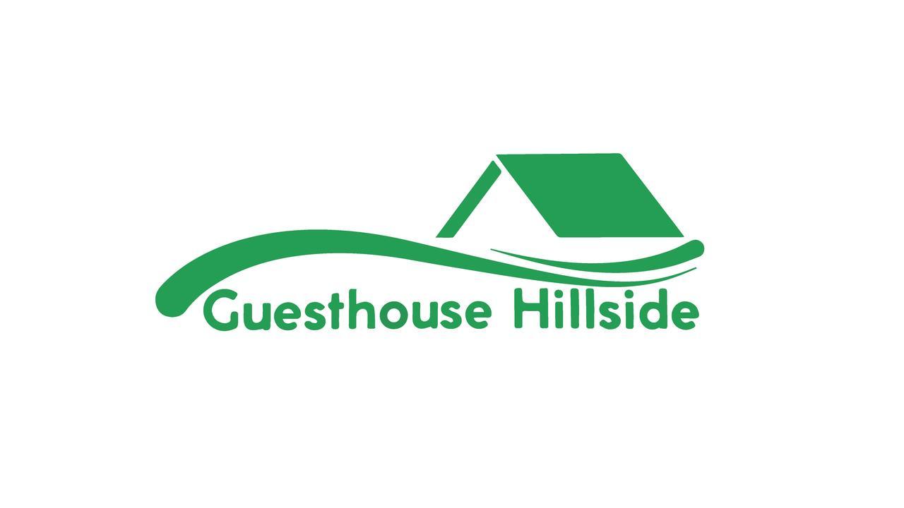 Guesthouse Hillside Тбилиси Экстерьер фото